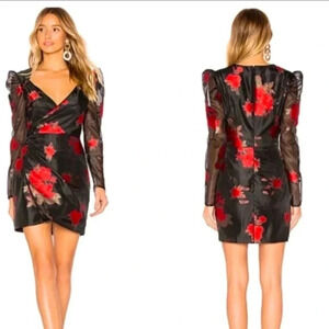Lovers + Friends Brant rose organza puff sleeve mini dress